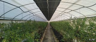 류근택님의 기타작물 · 영농일지 작성글 사진