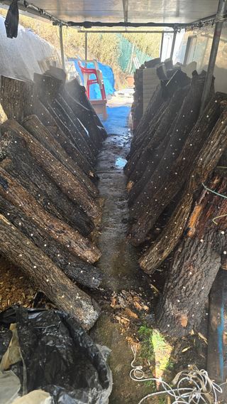 대박농장신초시님의 기타작물 · 영농일지 작성글 사진