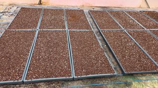 안경준님의 고추 · 영농일지 작성글 사진