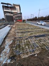 팜모닝 기타작물·영농일지 게시글 이미지