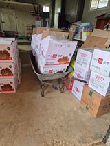 농민님의 작성글 사진