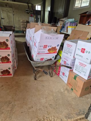 농민님의 상추 · 영농일지 작성글 사진