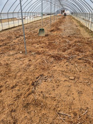 농민님의 상추 · 영농일지 작성글 사진