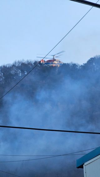 올산한봉벌꿀송이능이님의 기타작물 · 영농일지 작성글 사진