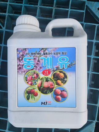 장산님의 감 · 영농일지 작성글 사진