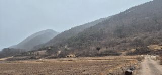 정진필님의 기타작물 · 영농일지 작성글 사진