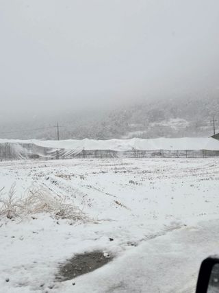 홍1237님의 사과 · 영농일지 작성글 사진