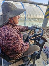 팜모닝 복숭아·영농일지 게시글 이미지