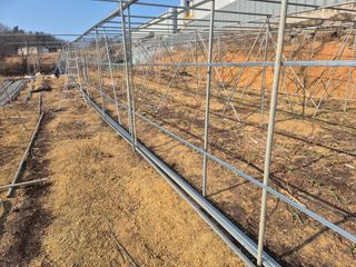 최진일님의 블루베리 · 영농일지 작성글 사진