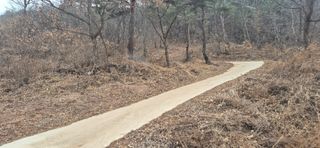 정진필님의 기타작물 · 영농일지 작성글 사진