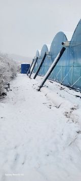 팜모닝 포도·영농일지 게시글 이미지