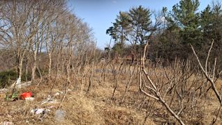 수기님의 기타작물 · 영농일지 작성글 사진