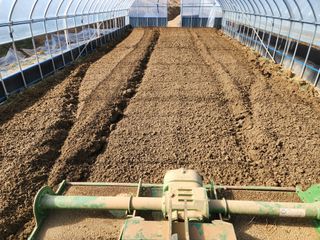 김저팔계님의 기타작물 · 영농일지 작성글 사진