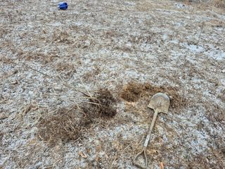 엉뚱님의 기타작물 · 영농일지 작성글 사진