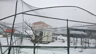 가야산아래촌농님의 기타작물 · 영농일지 작성글 사진