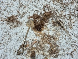 엉뚱님의 기타작물 · 영농일지 작성글 사진