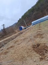 팜모닝 배·영농일지 게시글 이미지