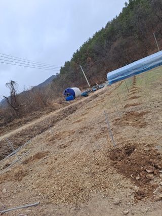 손정식님의 배 · 영농일지 작성글 사진