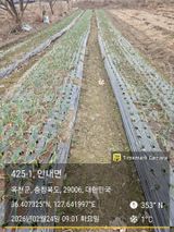 팜모닝 마늘·영농일지 게시글 이미지