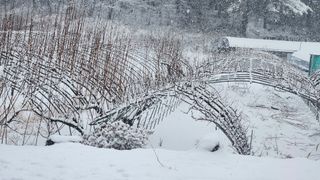 김준한님의 작성글 사진