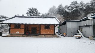 김준한님의 자두 · 영농일지 작성글 사진