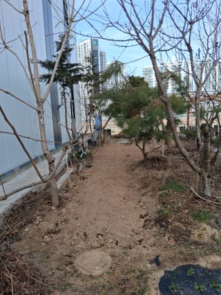 아산님의 기타작물 · 영농일지 작성글 사진