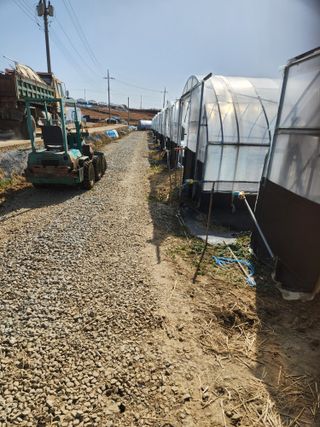 김저팔계님의 기타작물 · 영농일지 작성글 사진