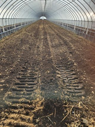 김저팔계님의 기타작물 · 영농일지 작성글 사진