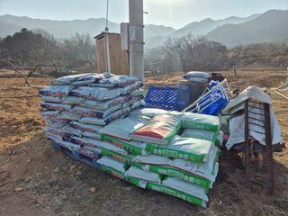 콩7431(팔공산)님의 복숭아 · 영농일지 작성글 사진