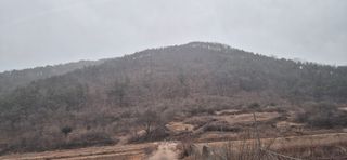 정진필님의 기타작물 · 영농일지 작성글 사진