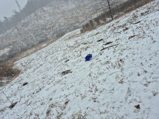 엉뚱님의 기타작물 · 영농일지 작성글 사진