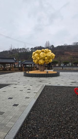 축복의땅 에덴동산님의 기타작물 · 영농일지 작성글 사진