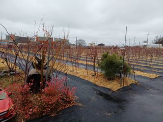 최정윤님의 딸기 · 영농일지 작성글 사진