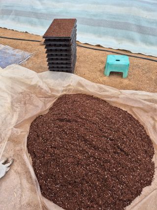 고추나방탄저에적합한님의 고추 · 영농일지 작성글 사진