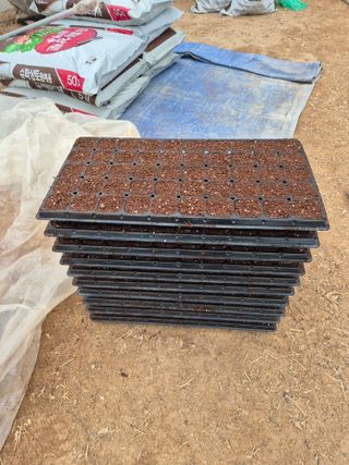 고추나방탄저에적합한님의 고추 · 영농일지 작성글 사진