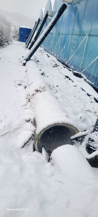 서대산향수님의 포도 · 영농일지 작성글 사진