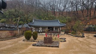 축복의땅 에덴동산님의 기타작물 · 영농일지 작성글 사진