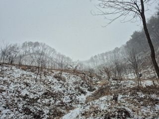 엉뚱님의 기타작물 · 영농일지 작성글 사진