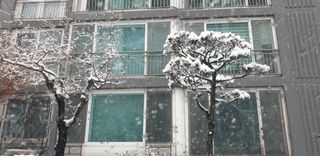 정천복님의 기타작물 · 영농일지 작성글 사진