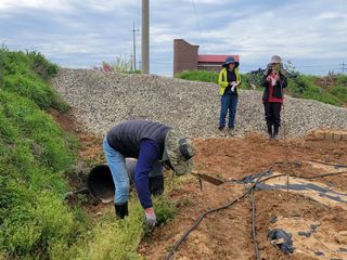 들깨19419님의 작성글 사진