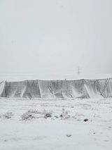 팜모닝 사과·영농일지 게시글 이미지