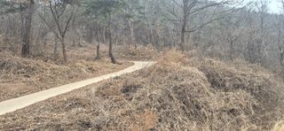 정진필님의 기타작물 · 영농일지 작성글 사진