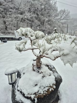 황금님의 기타작물 · 영농일지 작성글 사진