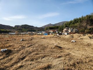 이세호님의 감 · 영농일지 작성글 사진