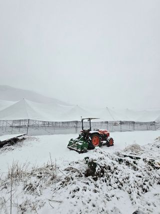 홍1237님의 사과 · 영농일지 작성글 사진