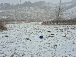 엉뚱님의 기타작물 · 영농일지 작성글 사진