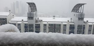 정천복님의 기타작물 · 영농일지 작성글 사진