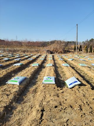 농부에변신술.님의 고추 · 영농일지 작성글 사진