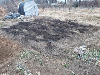 양길호님의 기타작물 · 영농일지 작성글 사진