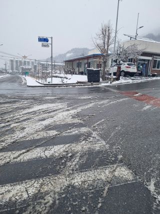 김용대님의 기타작물 · 영농일지 작성글 사진